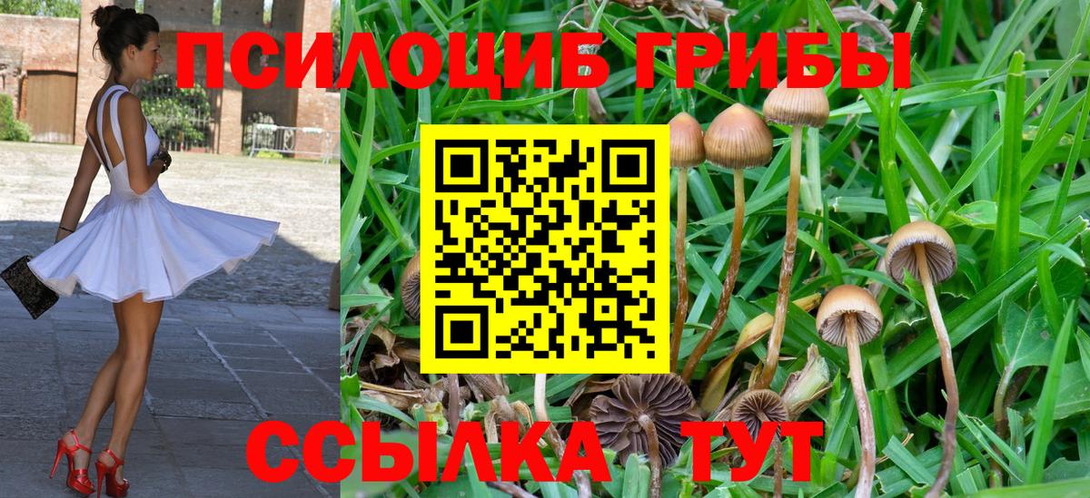 Псилоцибиновые грибы ЛСД Волжский