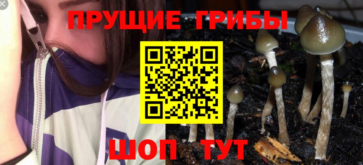 Волжский  Галлюциногенные грибы Psilocybine cubensis  купить наркотик  Вход с VPN 